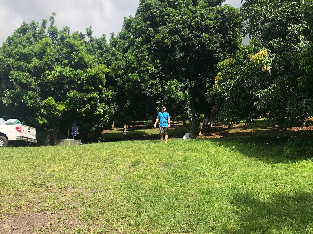 Joe's Nuts-库克船长必去景点