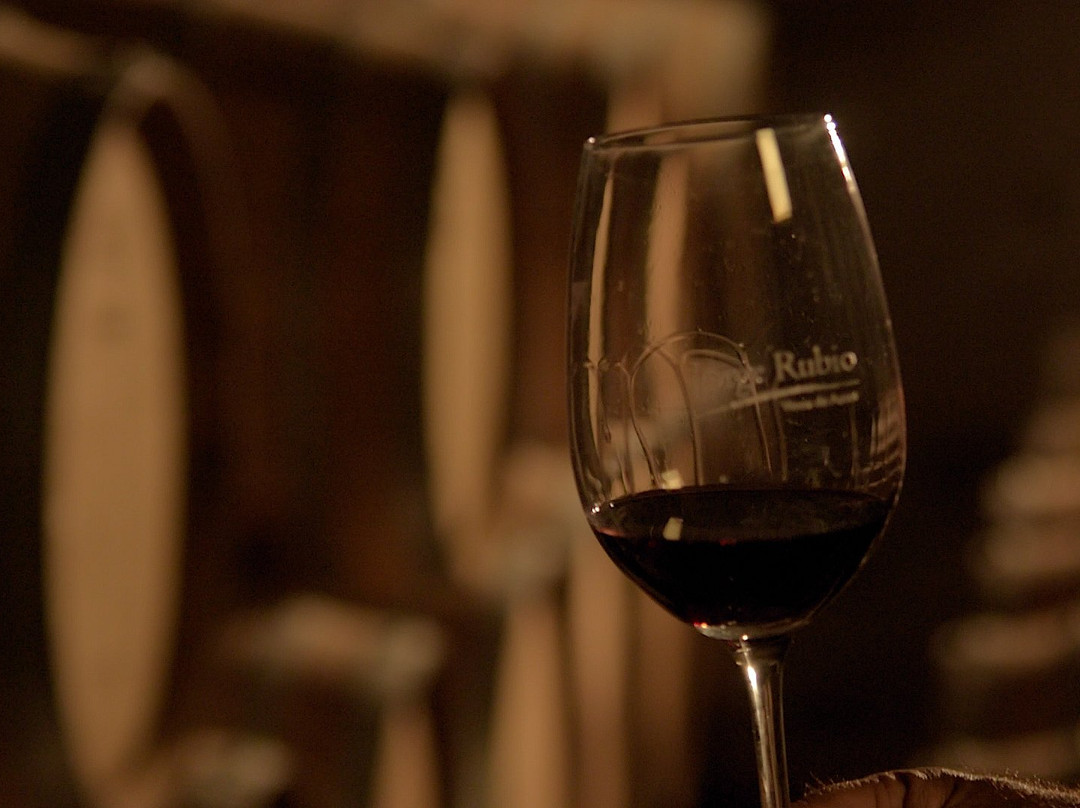 Bodega Familia Rubio (Jorge Rubio)景点图片