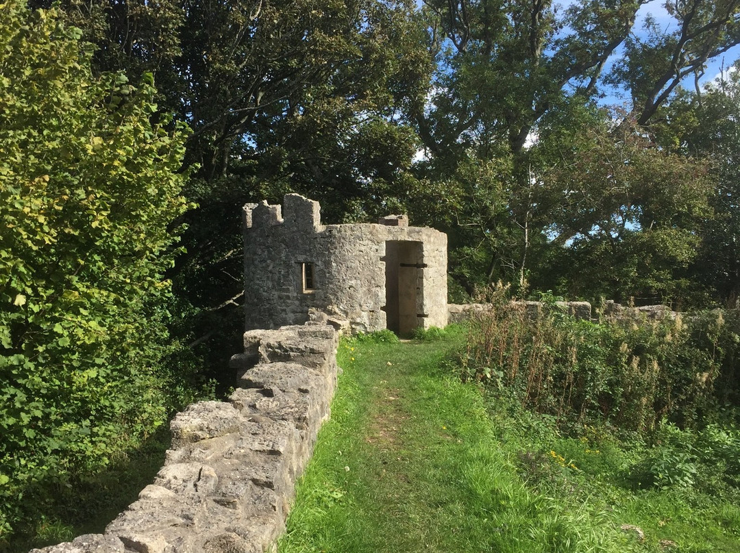 Aberlleiniog Castle-Llangoed必去景点
