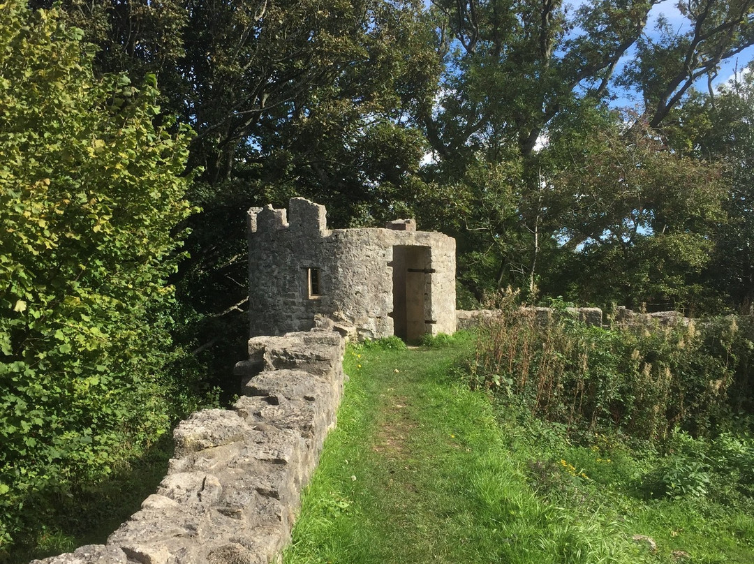 Aberlleiniog Castle景点图片