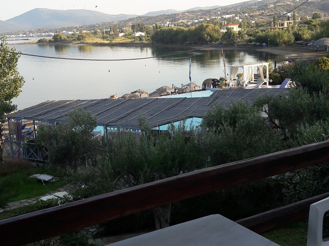 Venus Beach Hotel主图