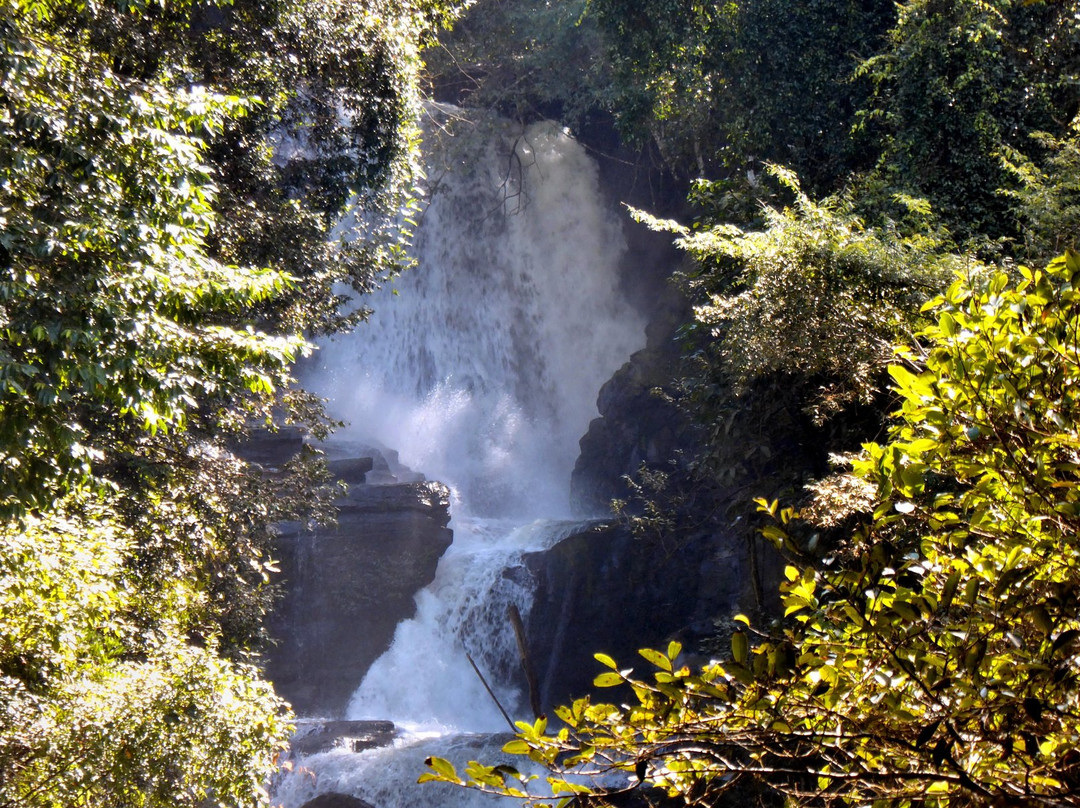 Siripoom Waterfall景点图片