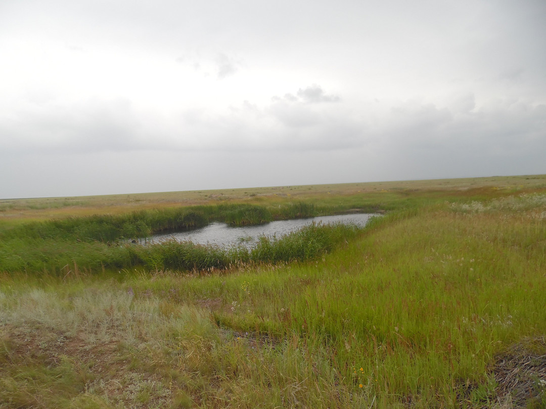 The Polygon Test Site-Utebay必去景点