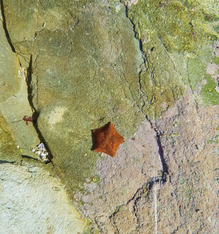 Ancient Fish Traps-斯特尔拜必去景点