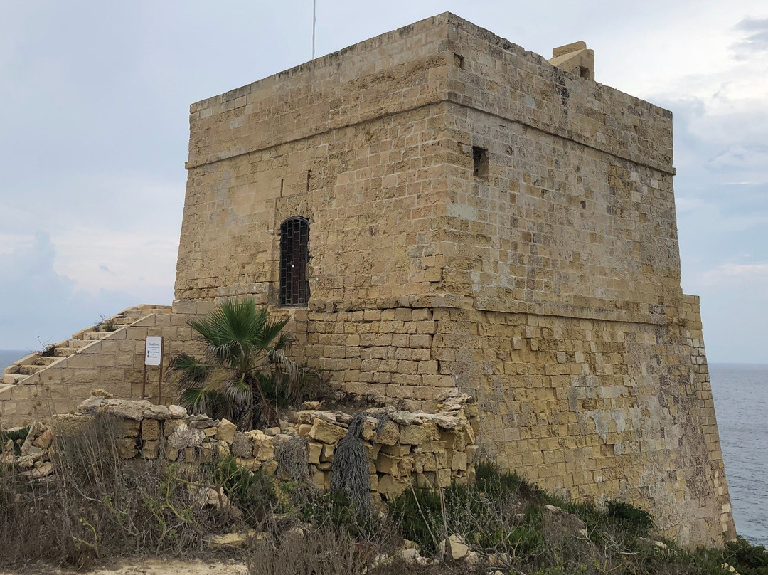 Xlendi tower景点图片