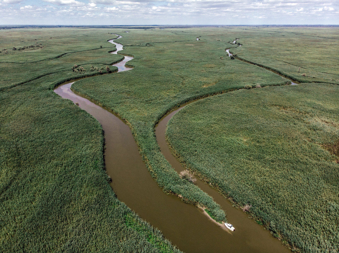 Fish Factory Hotel主图