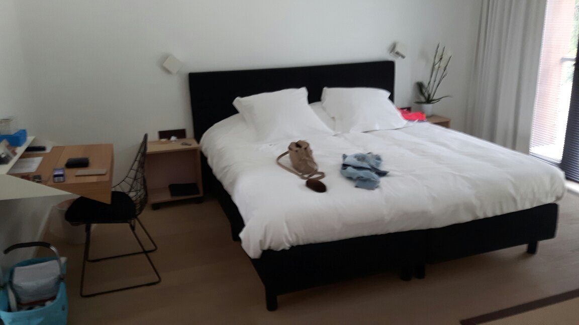 B&B Ceder10-官方