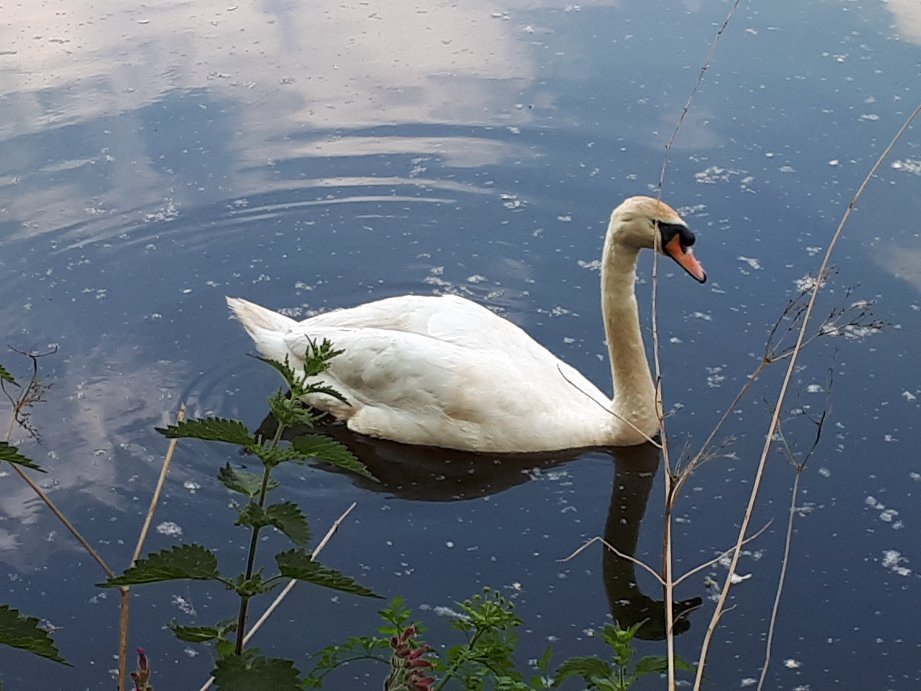 Moses Gate Country Park景点图片