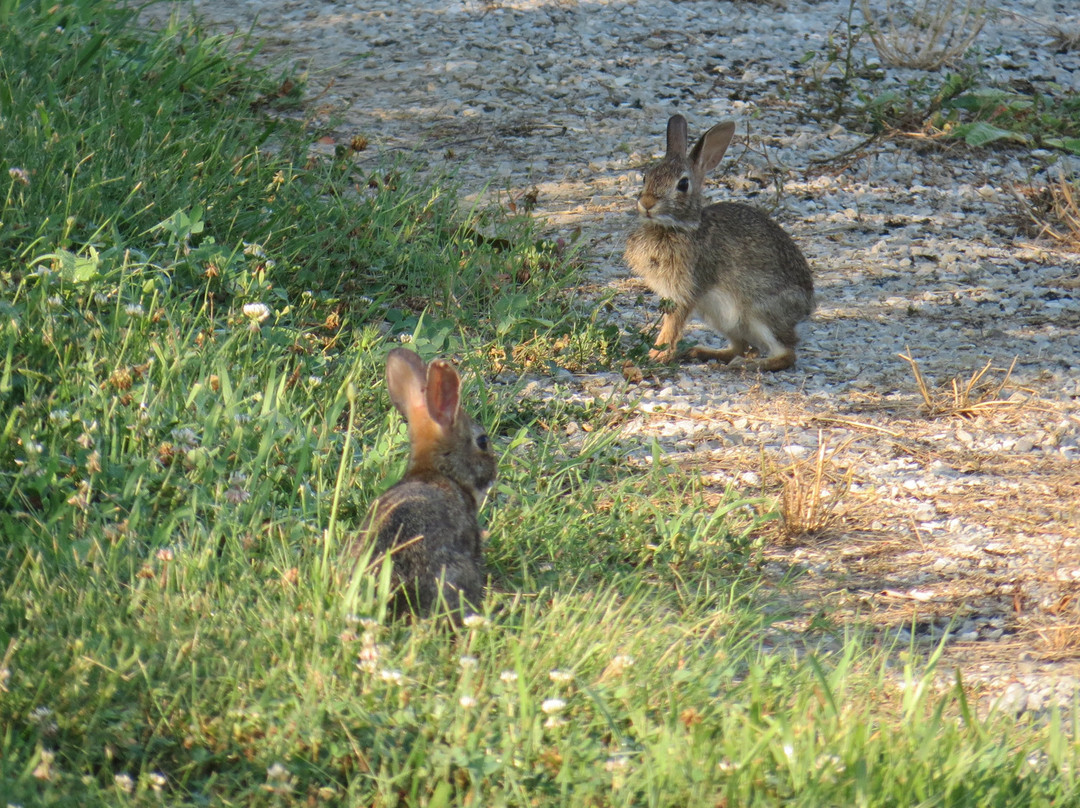 Fernald Preserve-Harrison必去景点