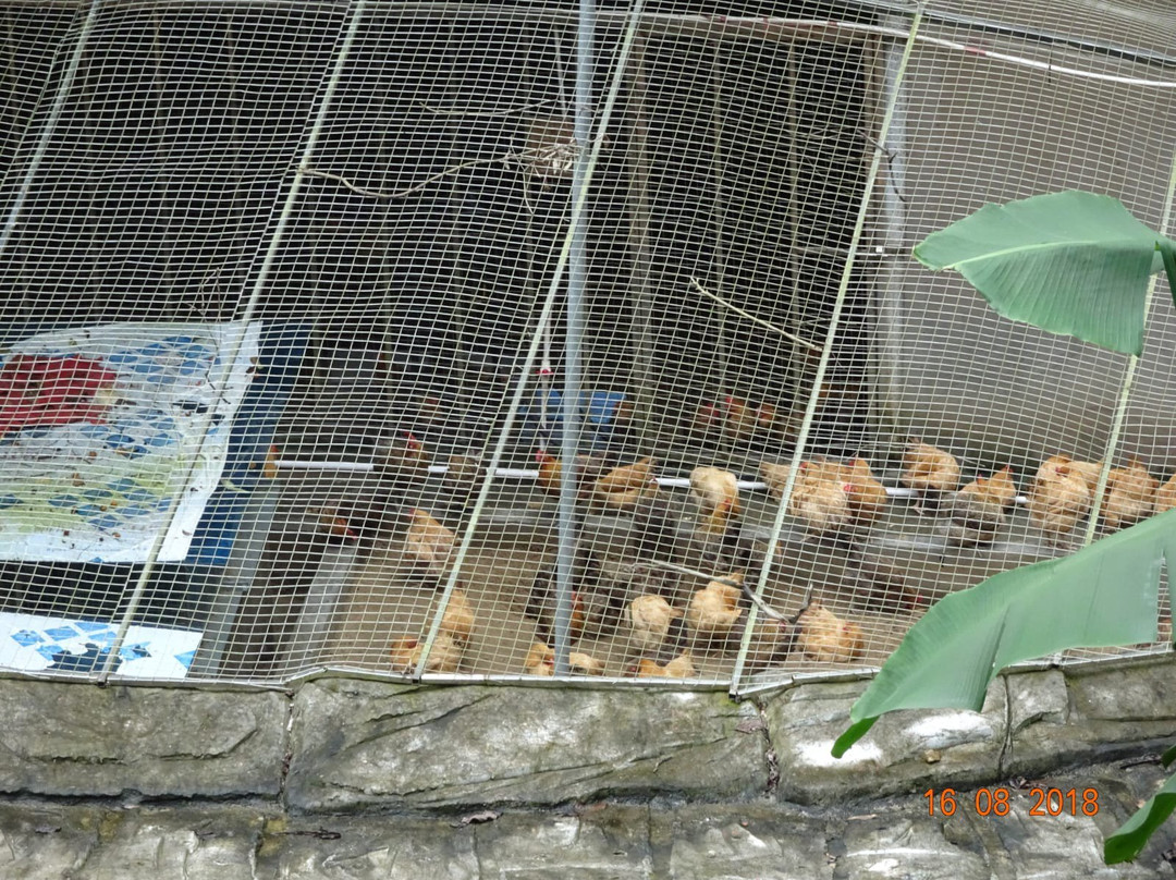 求水山公园-深圳市必去景点