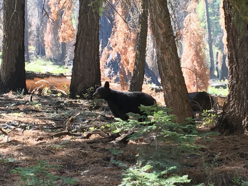 Camp Nelson旅游攻略图片