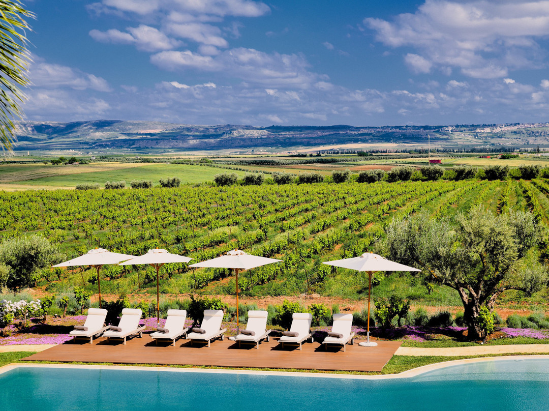 El Hajeb旅游攻略图片