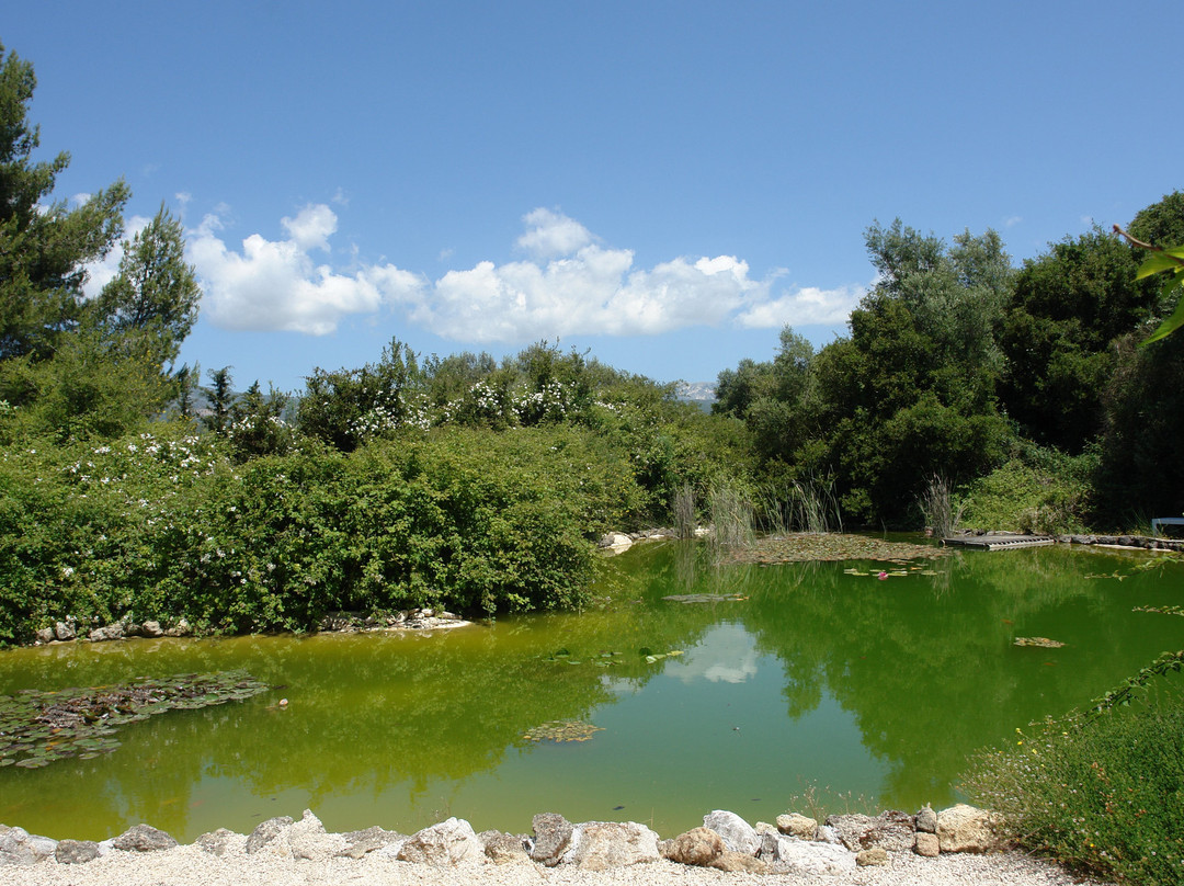 阿尔戈斯托利翁旅游景点-Cephalonia Botanica