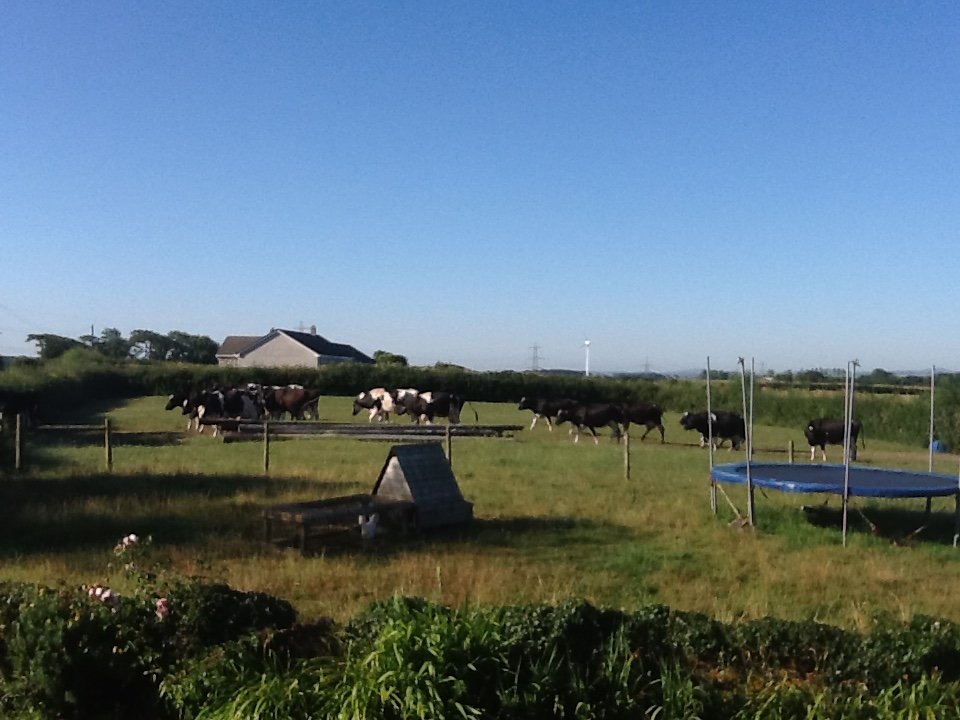 West Nethercott Farm-酒店景观