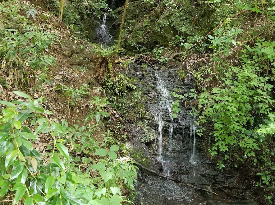 Kurokomichi-桥本市必去景点