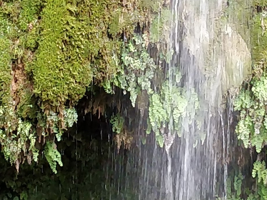 Nemouta Waterfalls景点图片