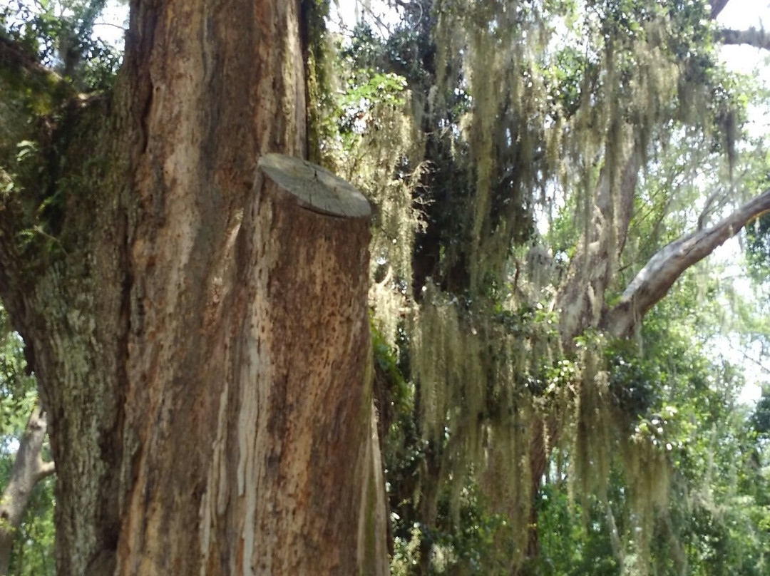 Memory Park Christ Chapel-Shellman必去景点