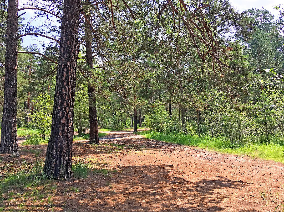 Stadium SibVO-赤塔必去景点
