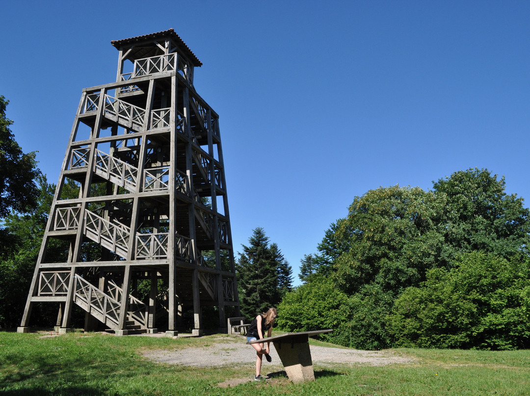 Saint-Didier-sur-Beaujeu旅游攻略图片