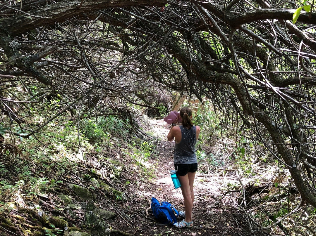 Maʻakua Ridge Trail-哈乌乌拉必去景点