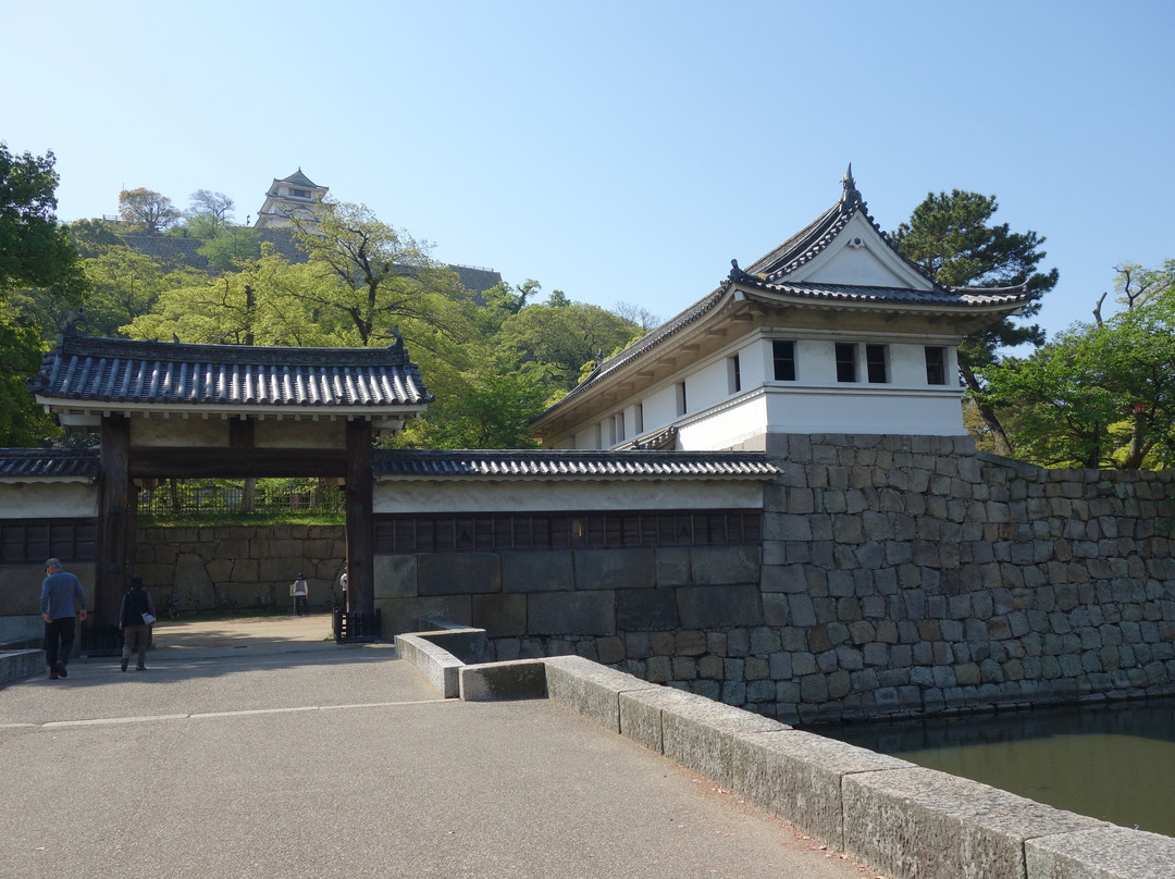 Kameyama Park (Marugame Castle)景点图片