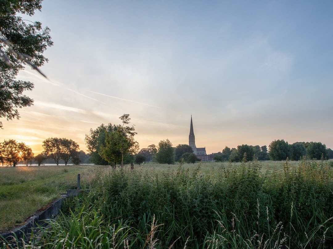 Harnham Water Meadows景点图片