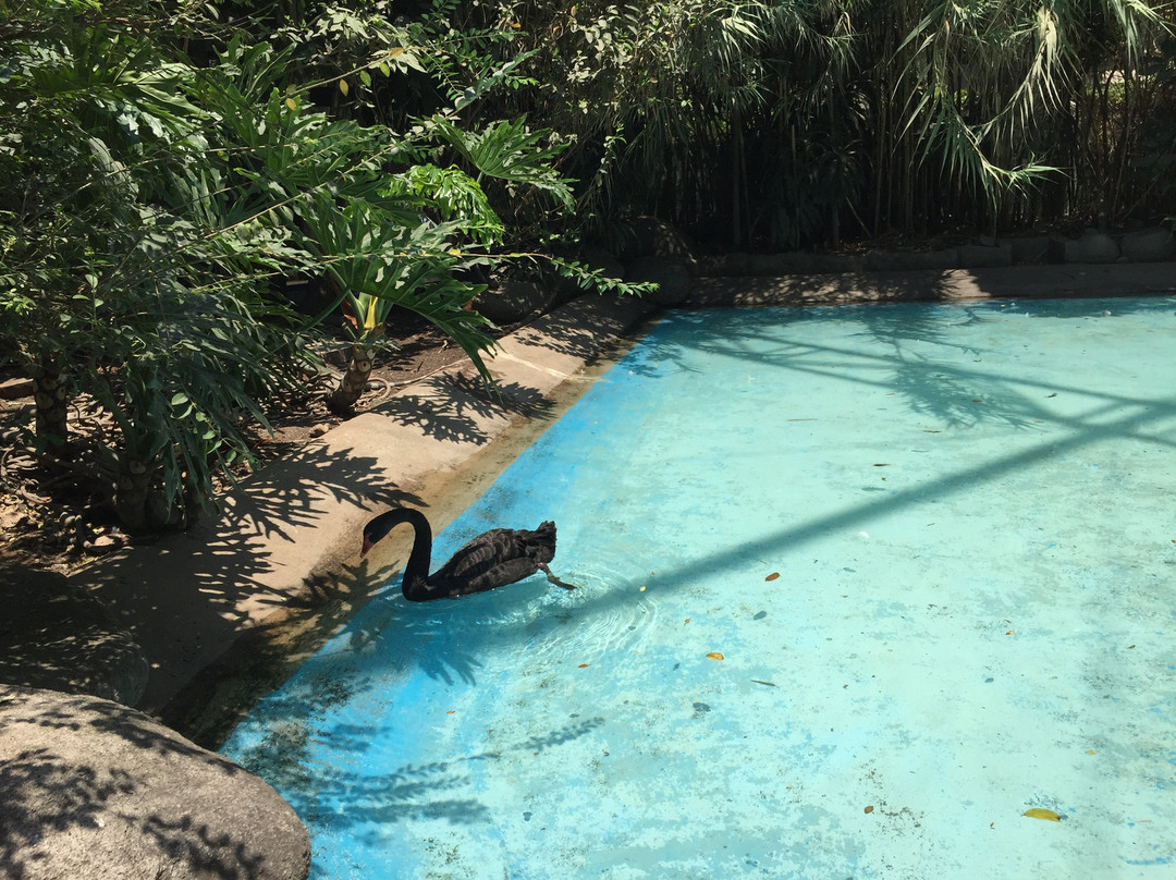 Parque Agua Azul-瓜达拉哈拉必去景点