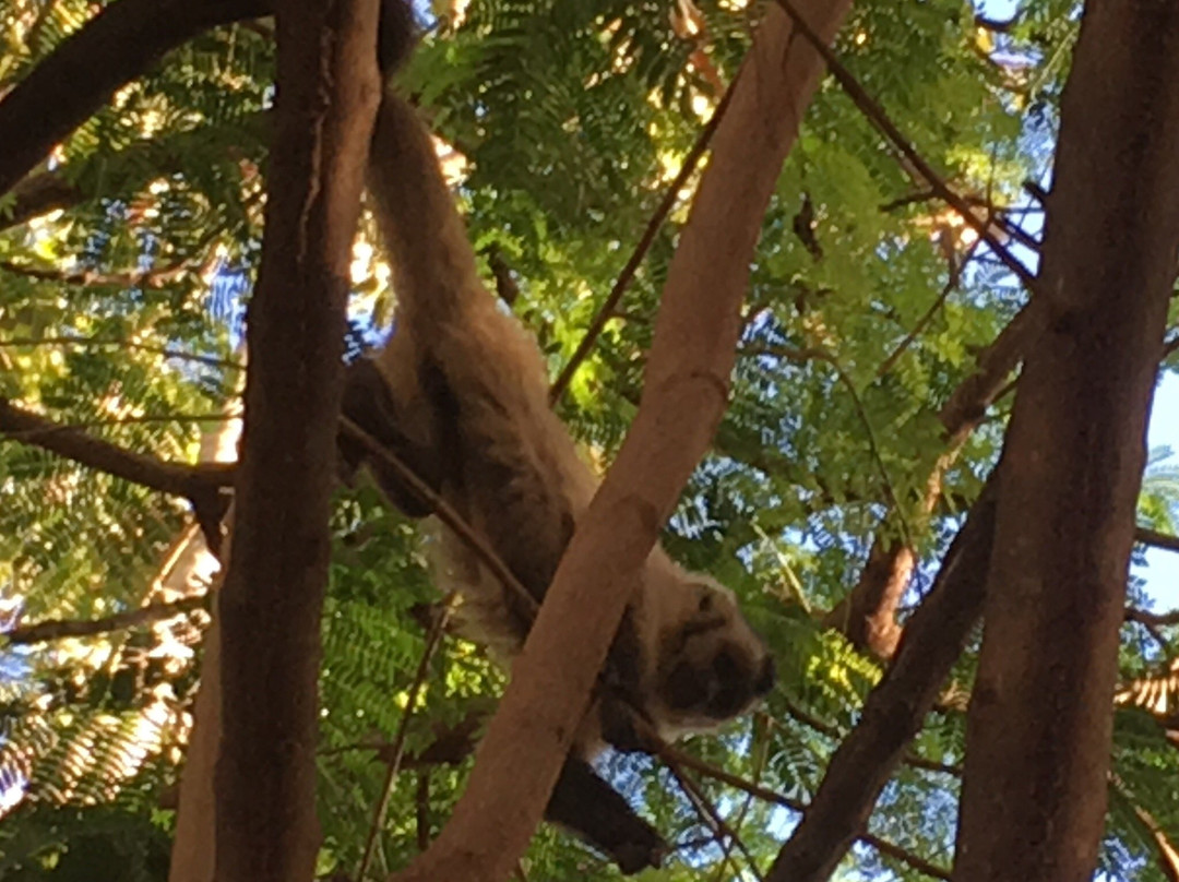 Parque Ecologico Diacui-Jatai必去景点