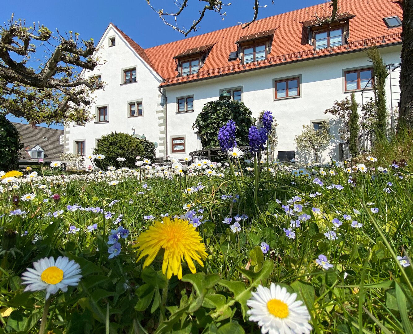 Hotel Montfort Schlössle-官方