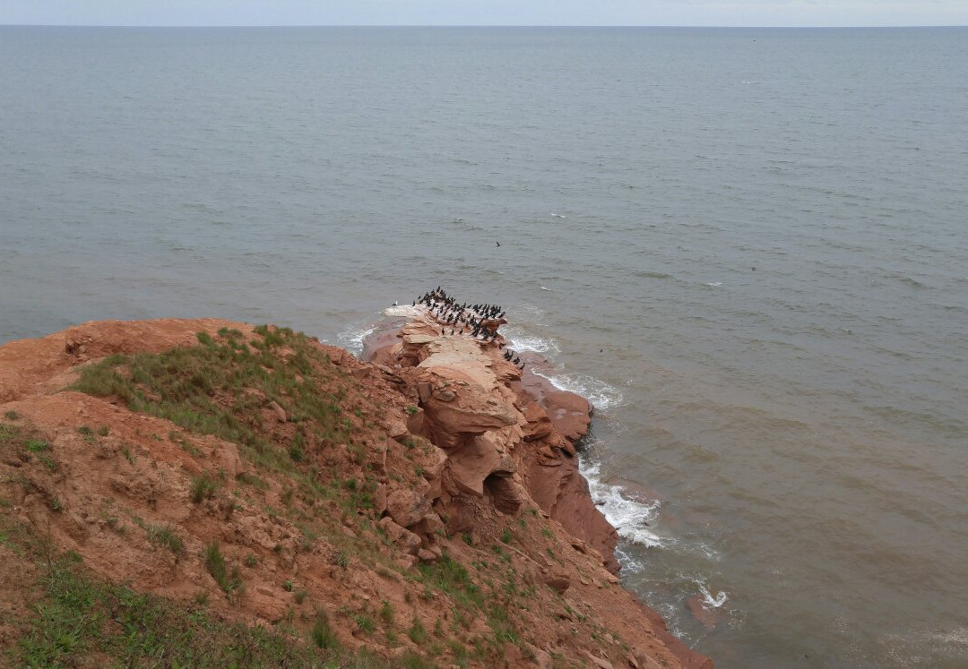 Red Sand Tour景点图片