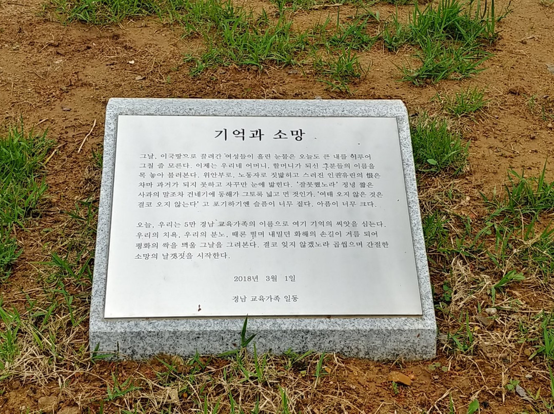 Statue of Peace-昌原市必去景点