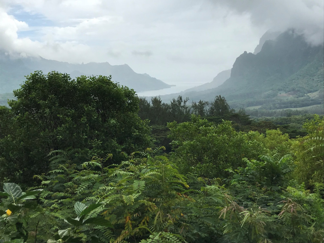 Moorea Explorer景点图片