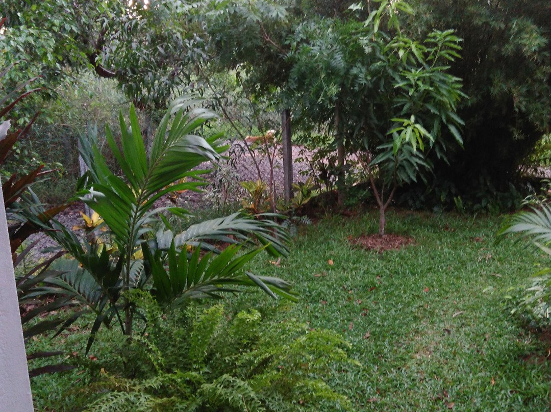 The Rock House主图