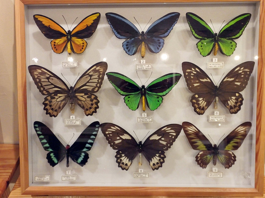 Jenbacher Museum-Jenbach必去景点