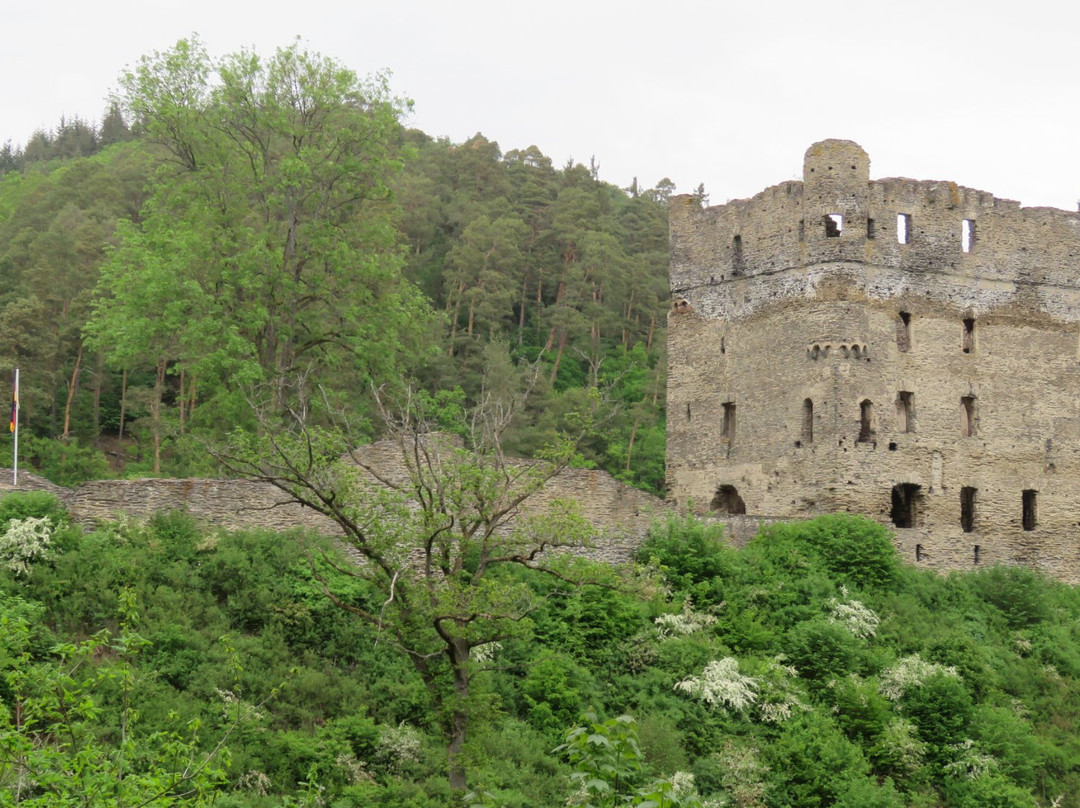 Burg Balduinseck景点图片