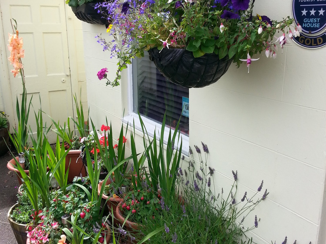 Broomfield House Bed & Breakfast主图