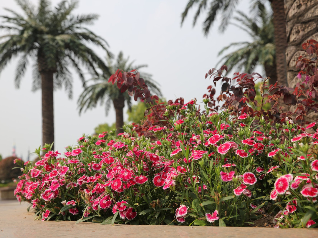 株洲方特梦幻王国-株洲市必去景点