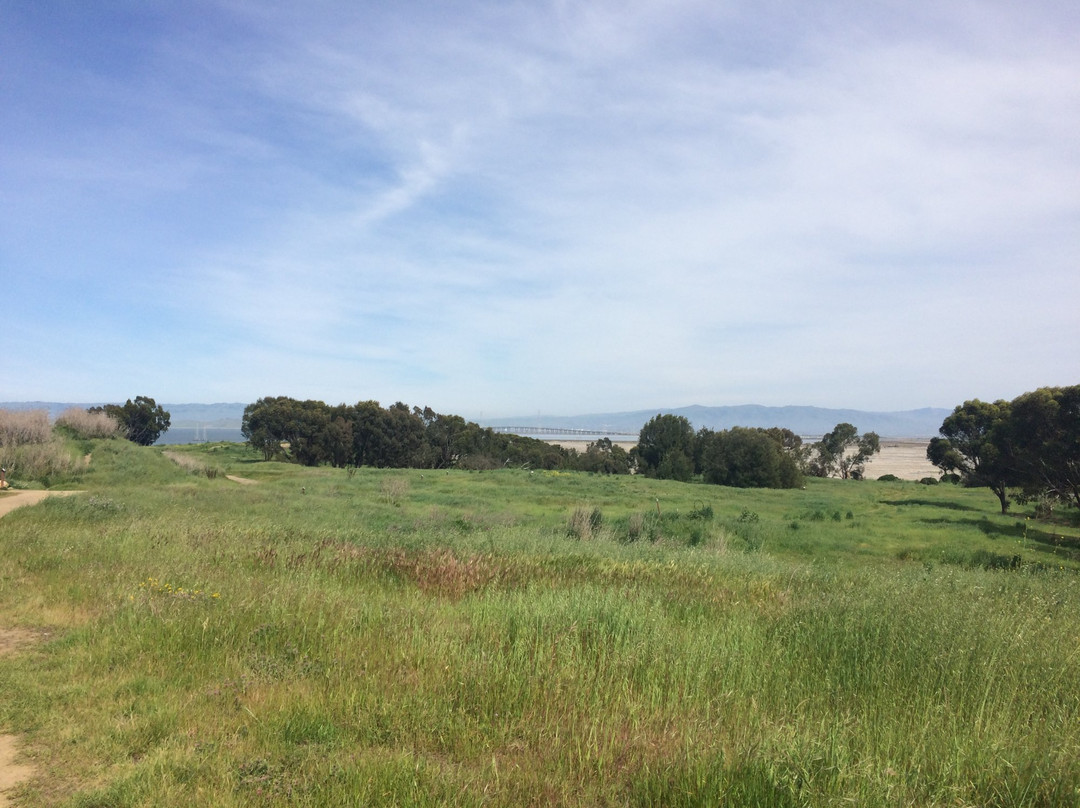 Bedwell Bayfront Park-门洛帕克必去景点