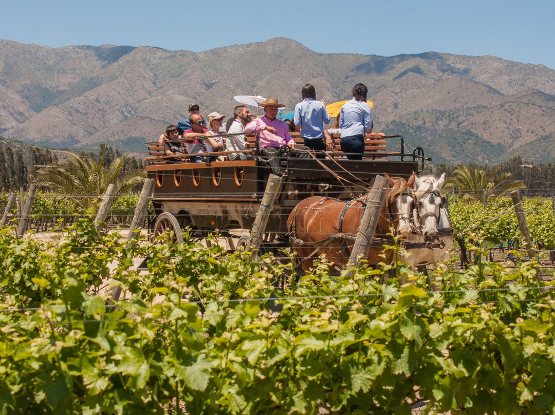 Estancia El Cuadro-卡萨布兰卡必去景点
