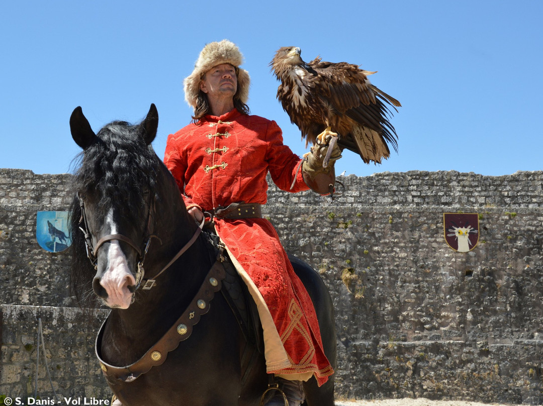 Les Aigles des Remparts景点图片