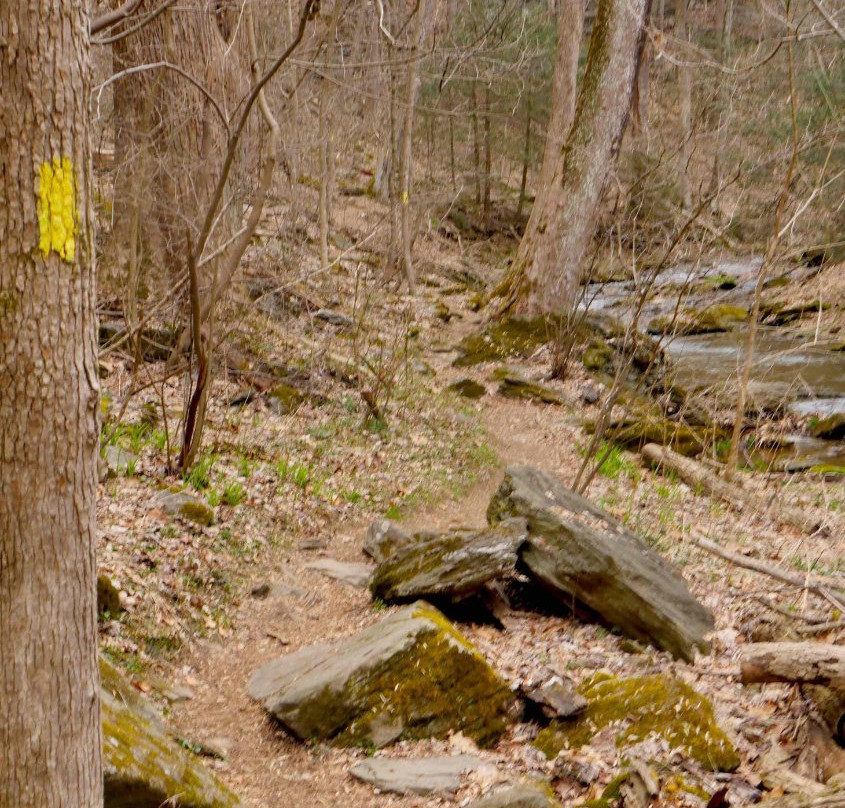 Tucquan Glen Nature Preserve景点图片