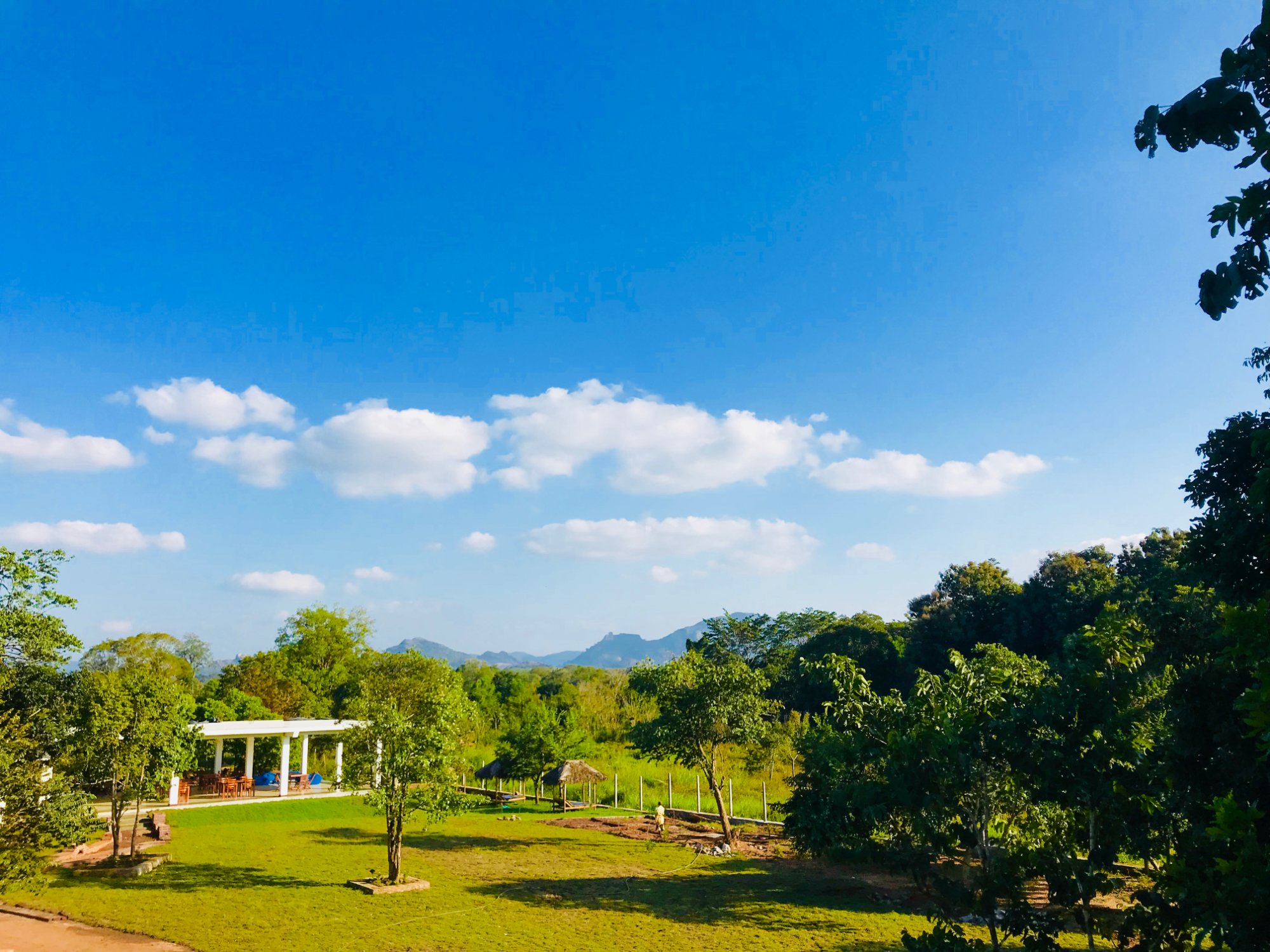 Into The Wild Sigiriya-酒店景观