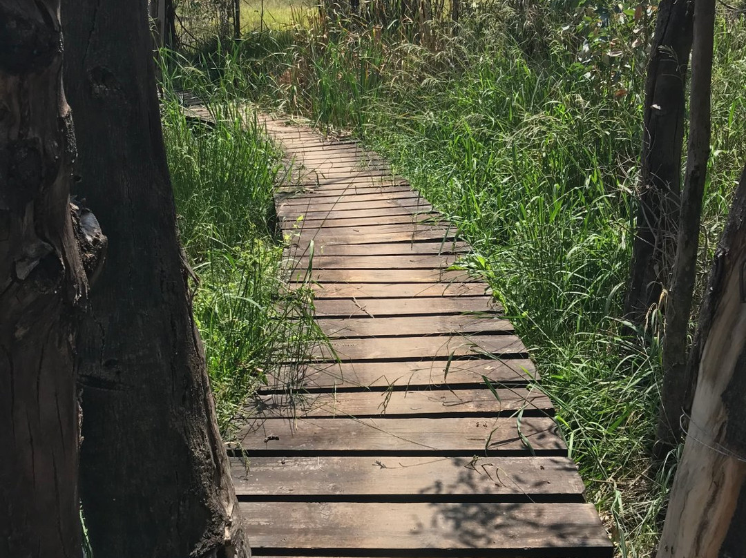 Modderfontein Reserve景点图片