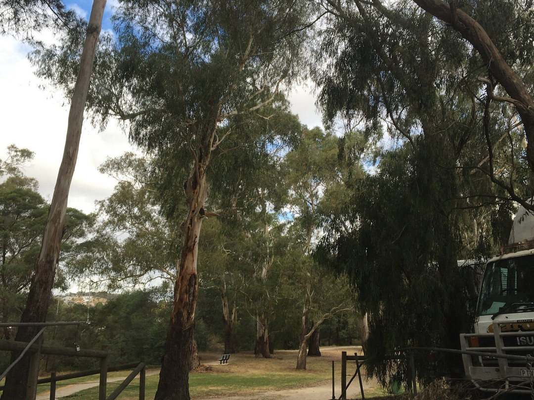 Akoonah Park-伯威克必去景点