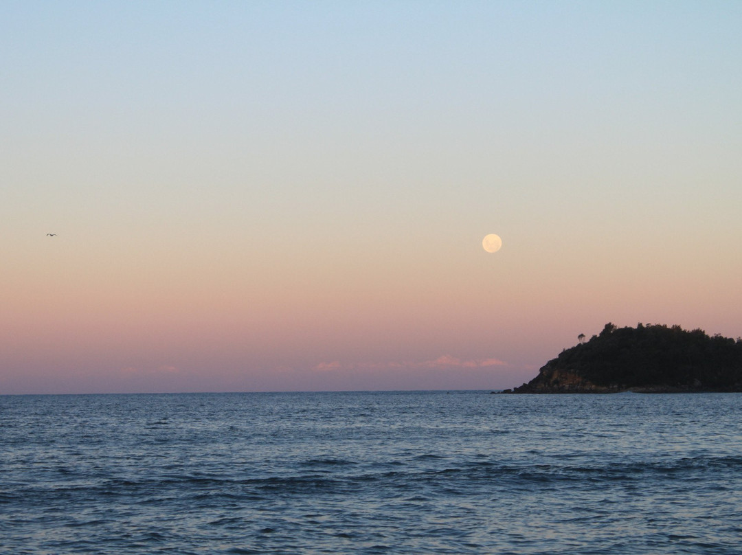 Manly Beach Hire-曼利议会必去景点