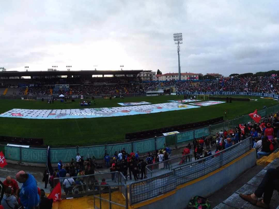 Stadio Arena Garibaldi - Romeo Anconetani景点图片
