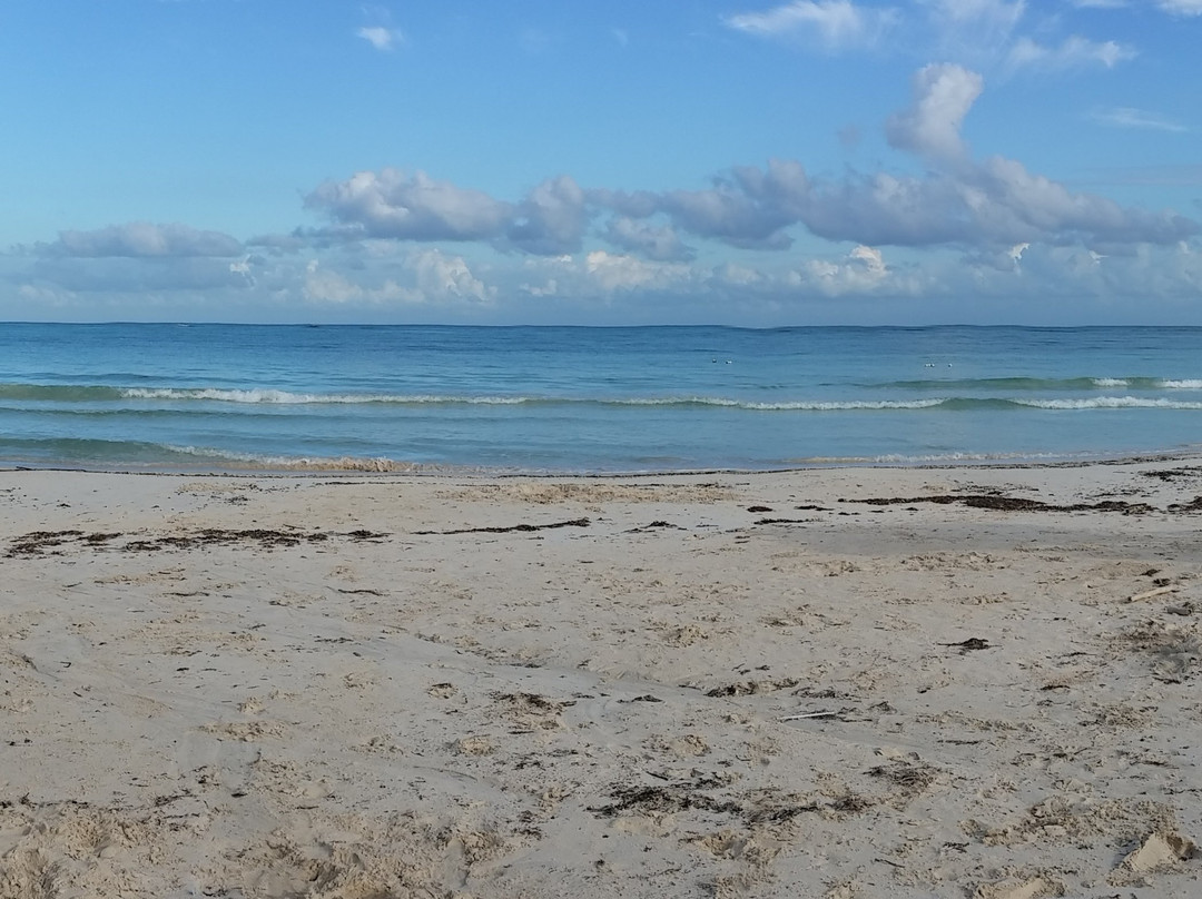 Burwood Beach-法尔茅斯必去景点