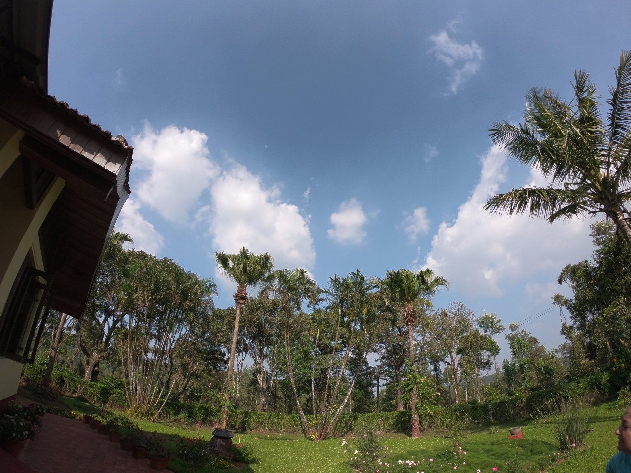 BB Estate Homestay - A Wandertrails Showcase-酒店景观