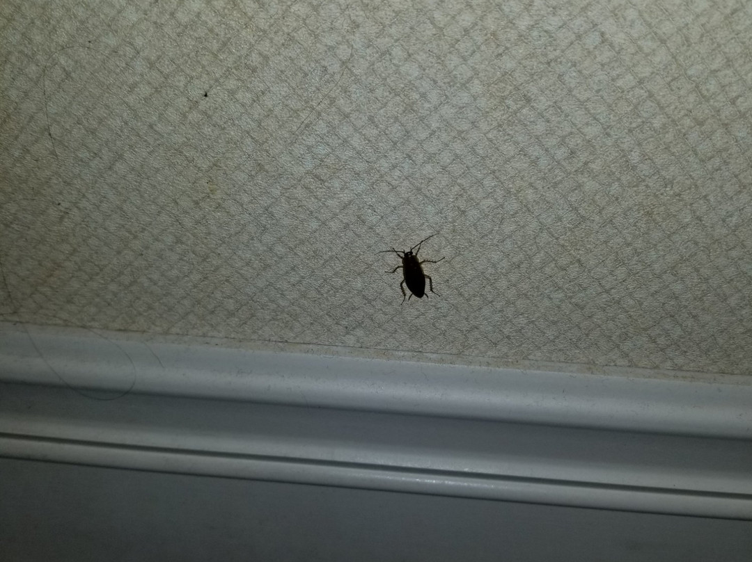 Inn at Cross Keys Station主图