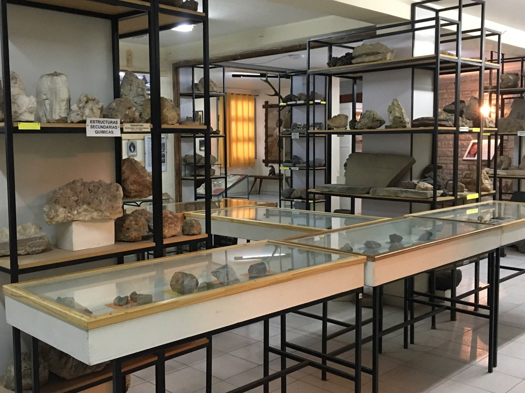 Museo de Ciencia Natural-圣拉斐尔必去景点